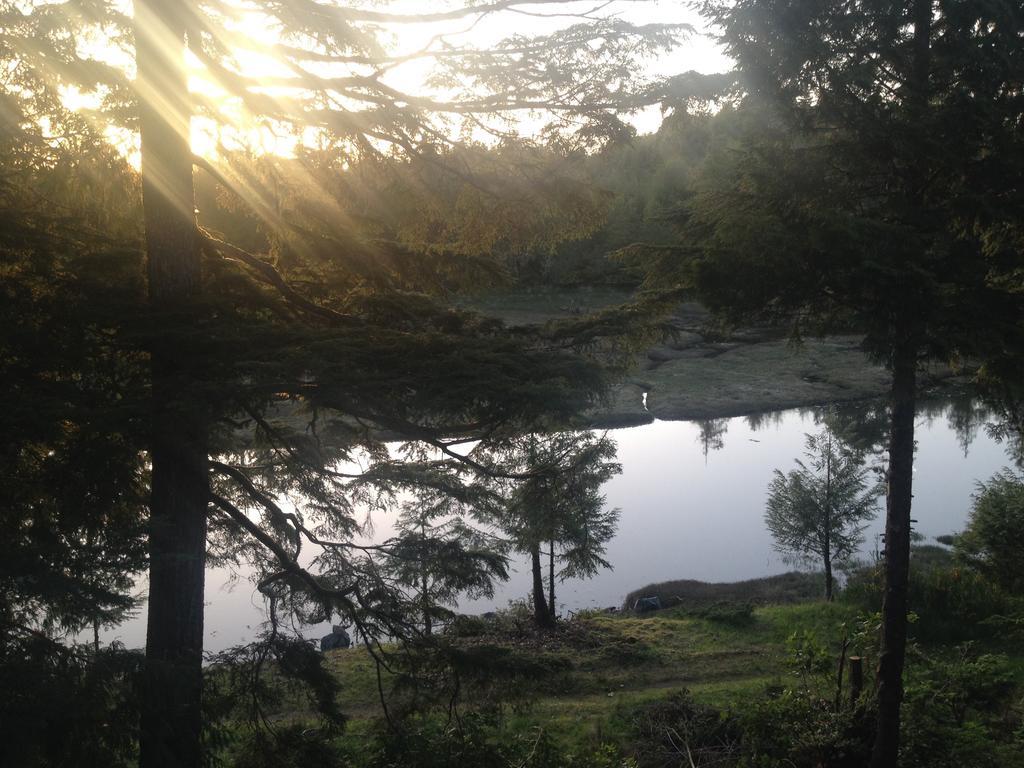 Hyphocus Inn Ucluelet Zimmer foto